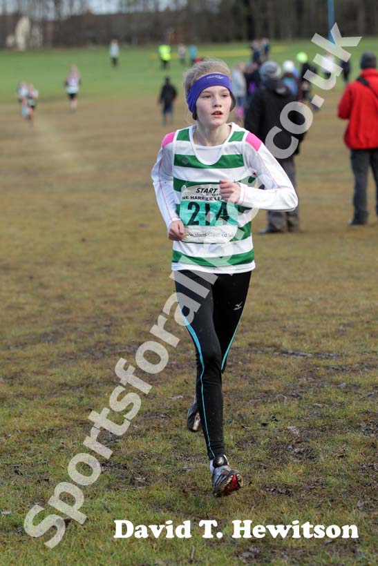 Green 214 Start First North East Harrier League,  Jarrow.